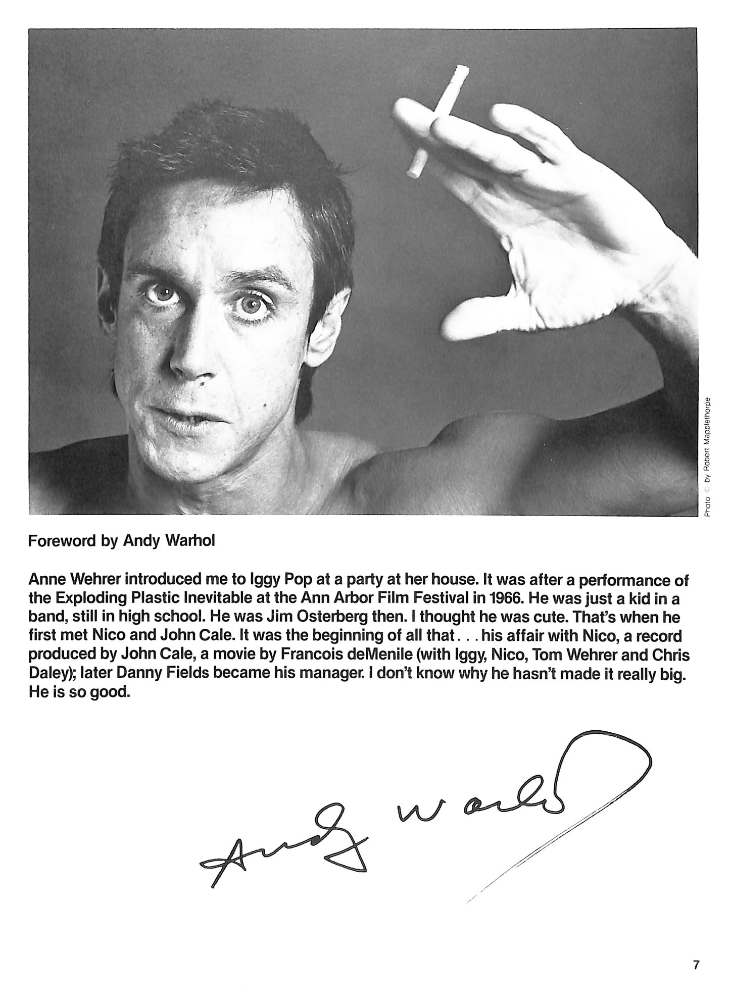 IGGY POP & ANNE WEHRER / I Need More: The Stooges and other Stories
