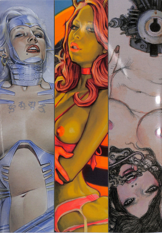 HAJIME SORAYAMA, ROCKIN' JELLY BEAN, KATSUYA TERADA / Pussycat! Kill! Kill! Kill!