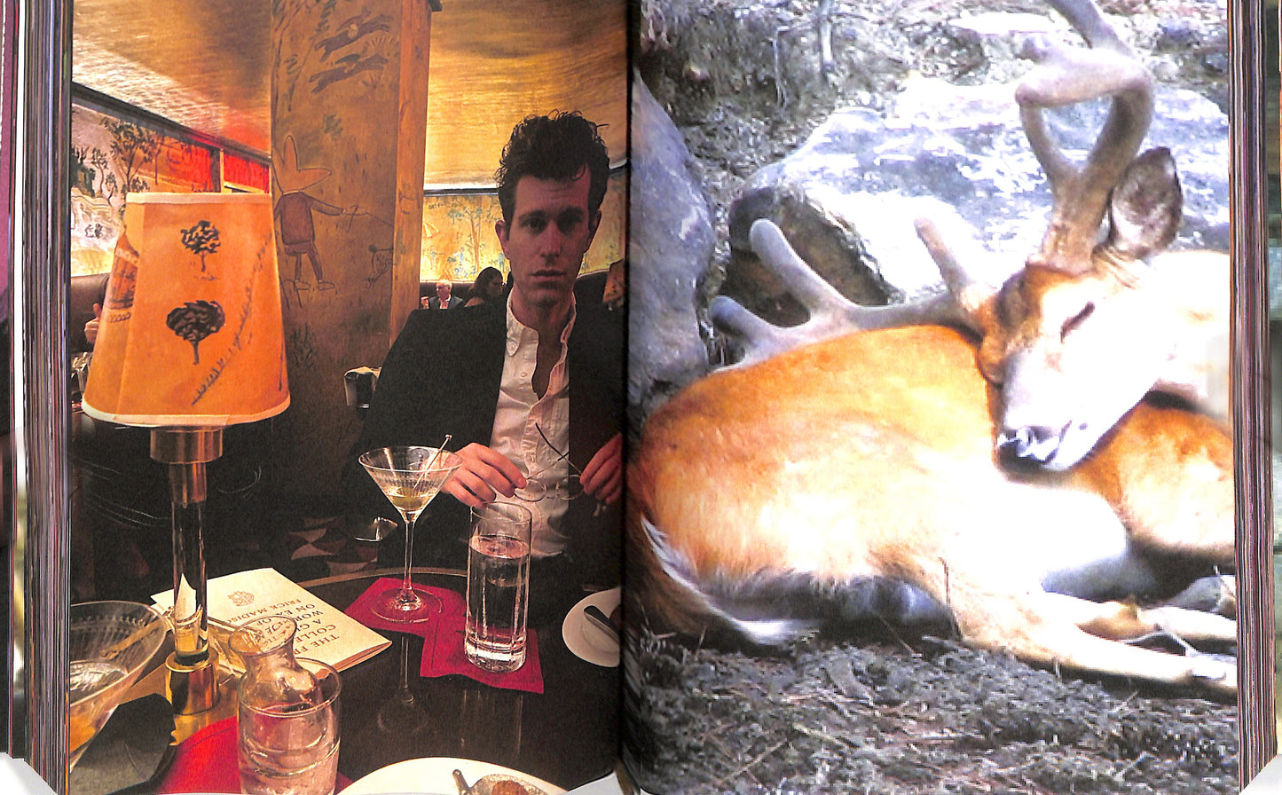 CHARLIE FOX / Flowers of Romance