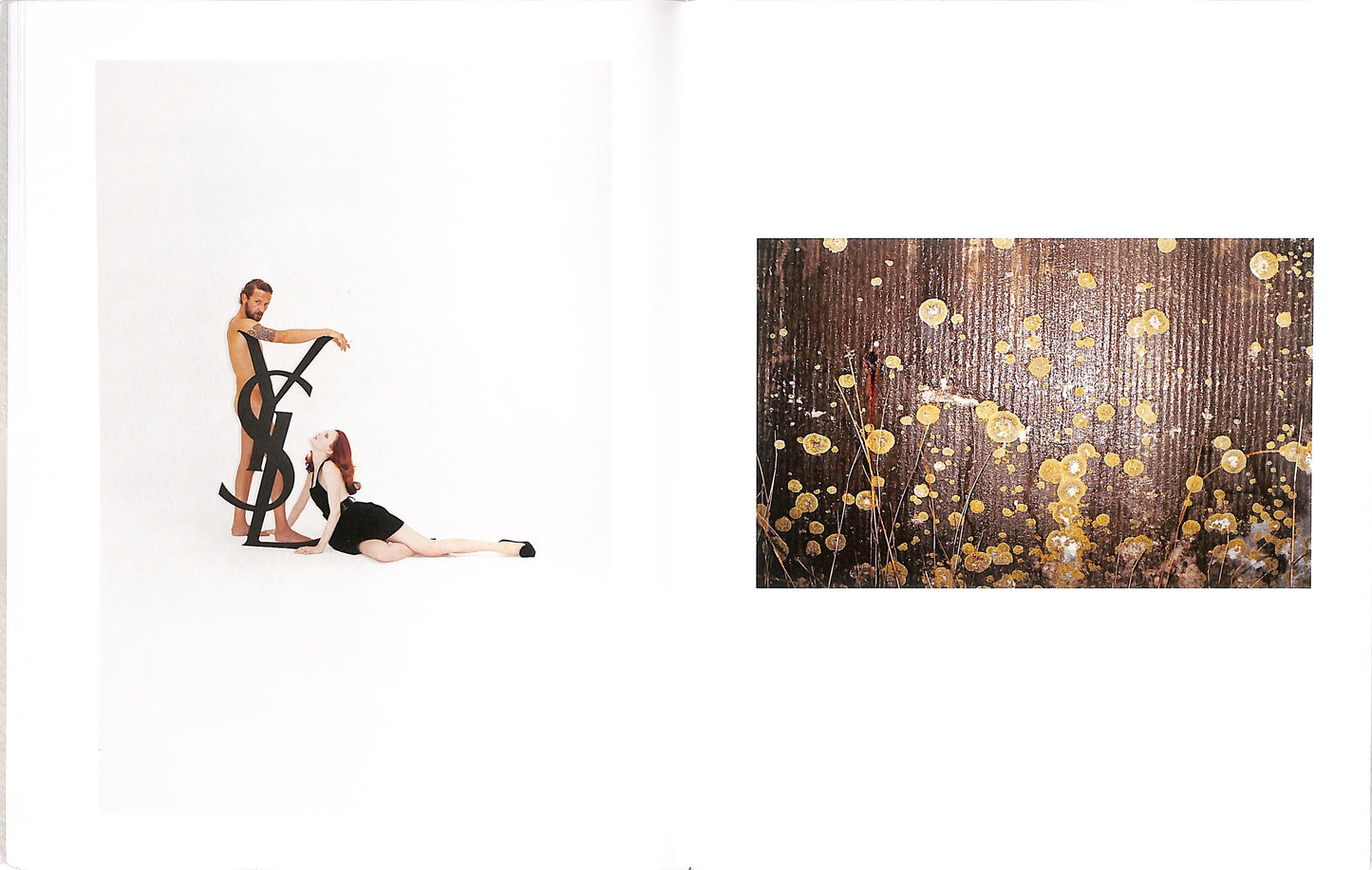 JUERGEN TELLER / The Master