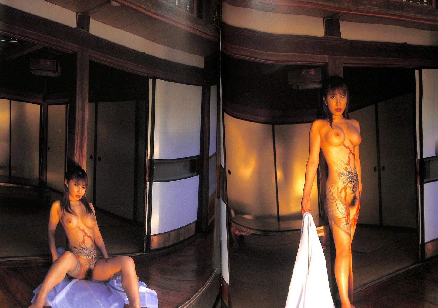 KEN SATO / Nyohadae