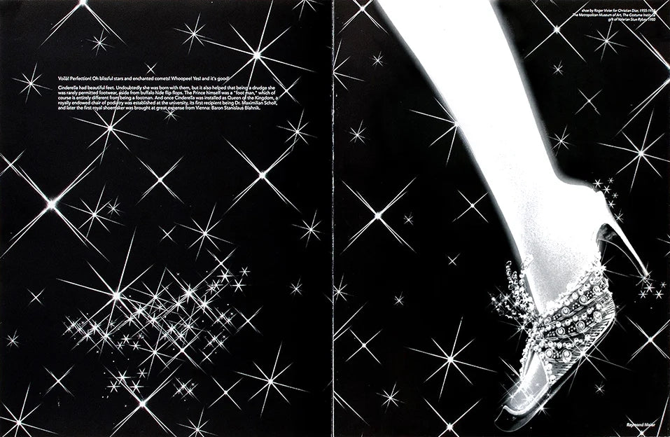 VISIONAIRE NO. 15: CINDERELLA / Various