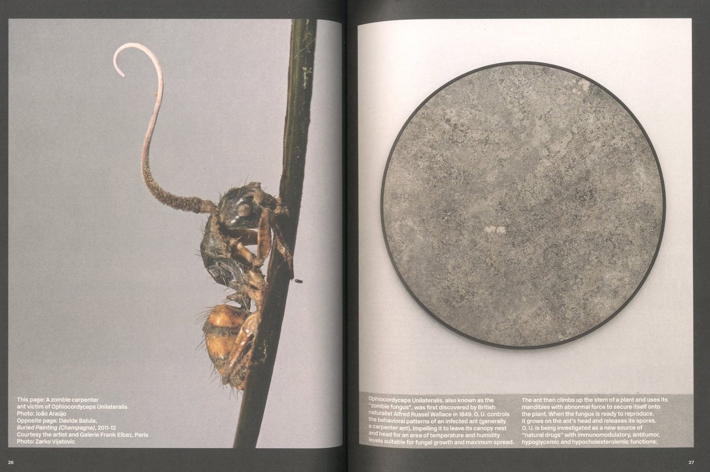 MAURIZIO CATTELAN, MYRIAM BEN SALAH, MARTA PAPINI / One Torino: SHIT AND DIE Who is the Olivetti girl?