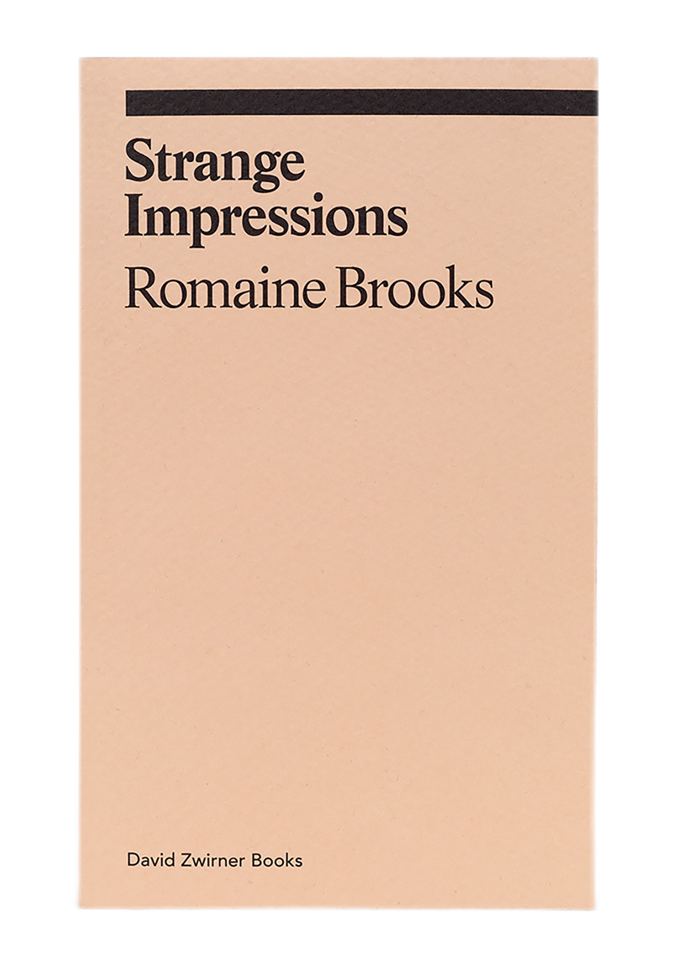 ROMAINE BROOKS / Strange Impressions
