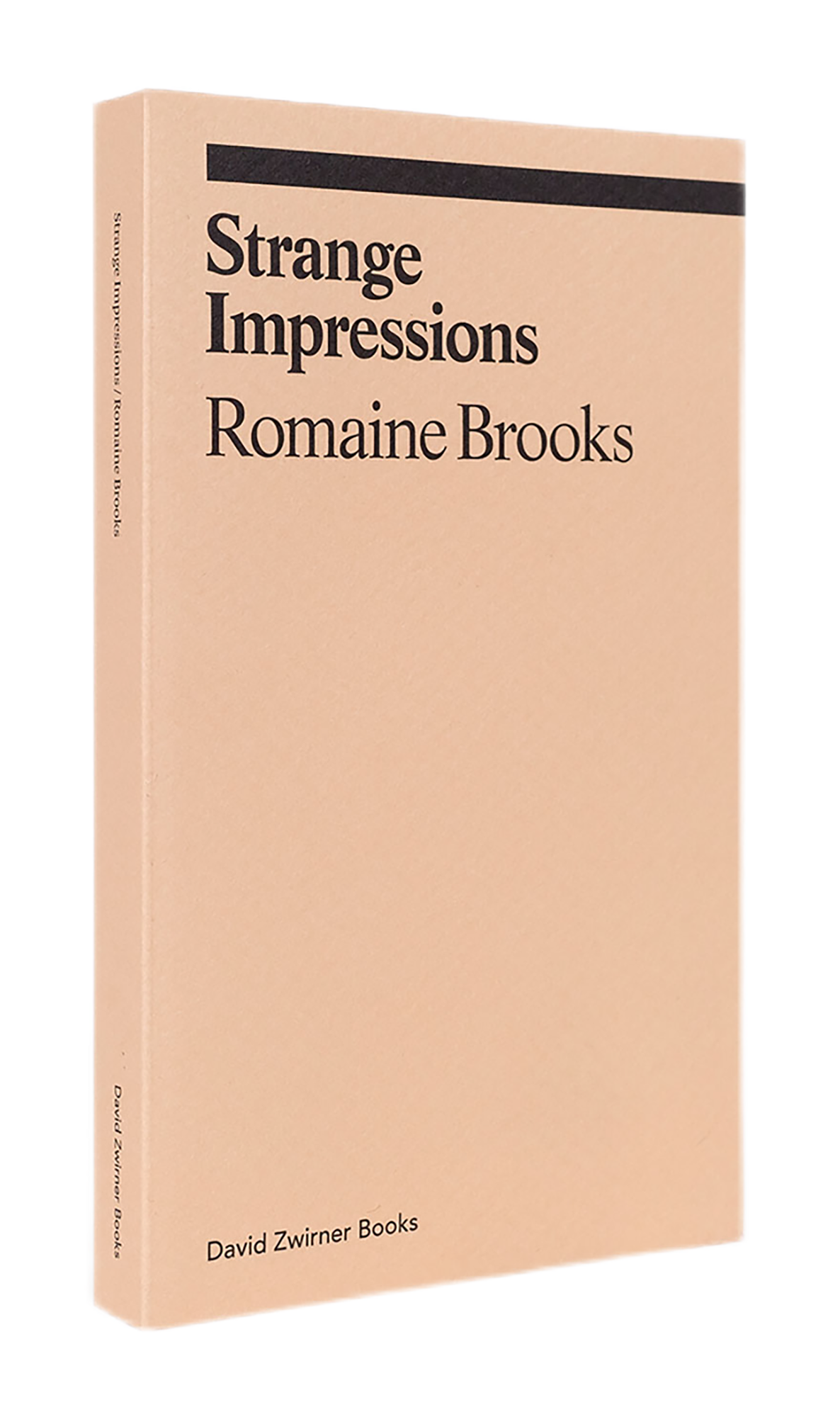 ROMAINE BROOKS / Strange Impressions