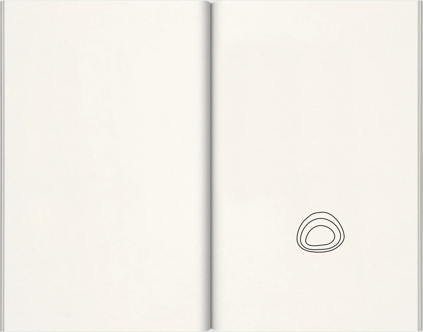 JOHN BALDESSARI / Nose Peak
