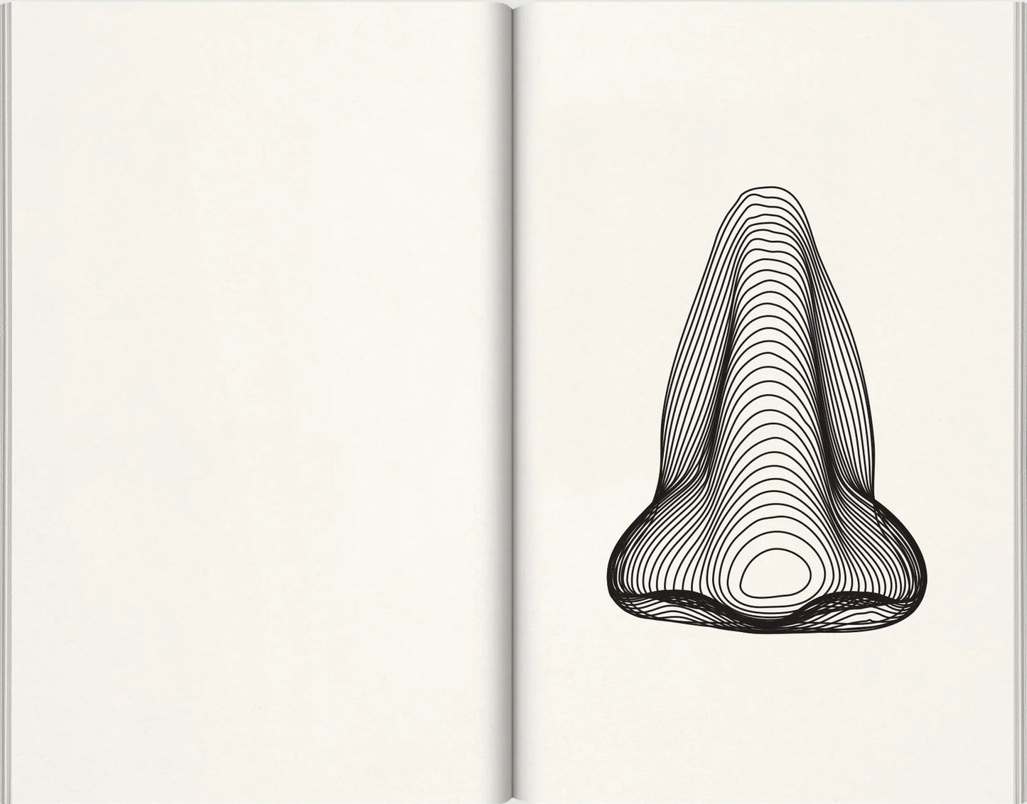JOHN BALDESSARI / Nose Peak