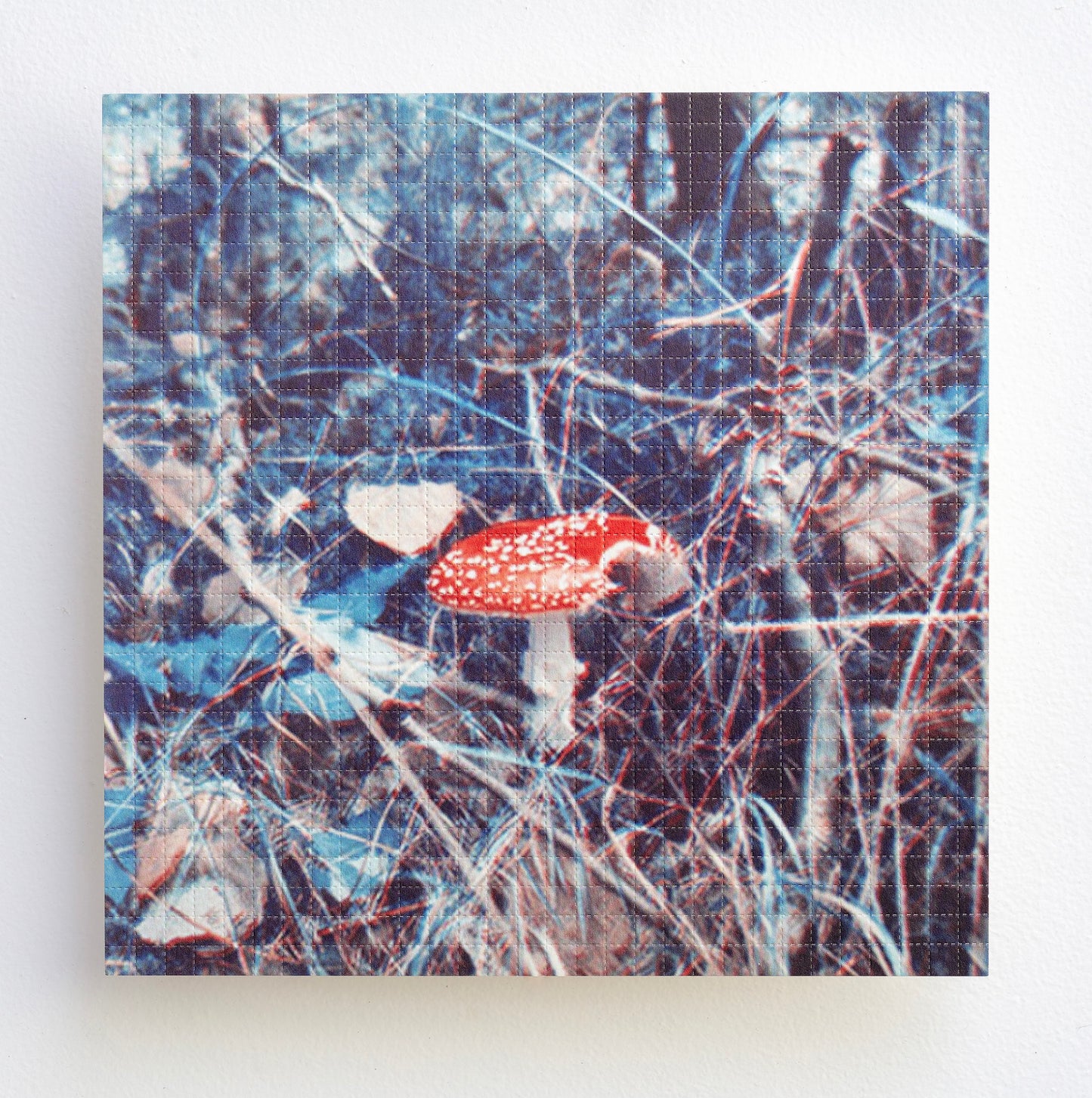 CARSTEN HÖLLER / Untitled