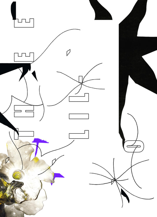 DAVID DOURAD / O'THEE LIL'O