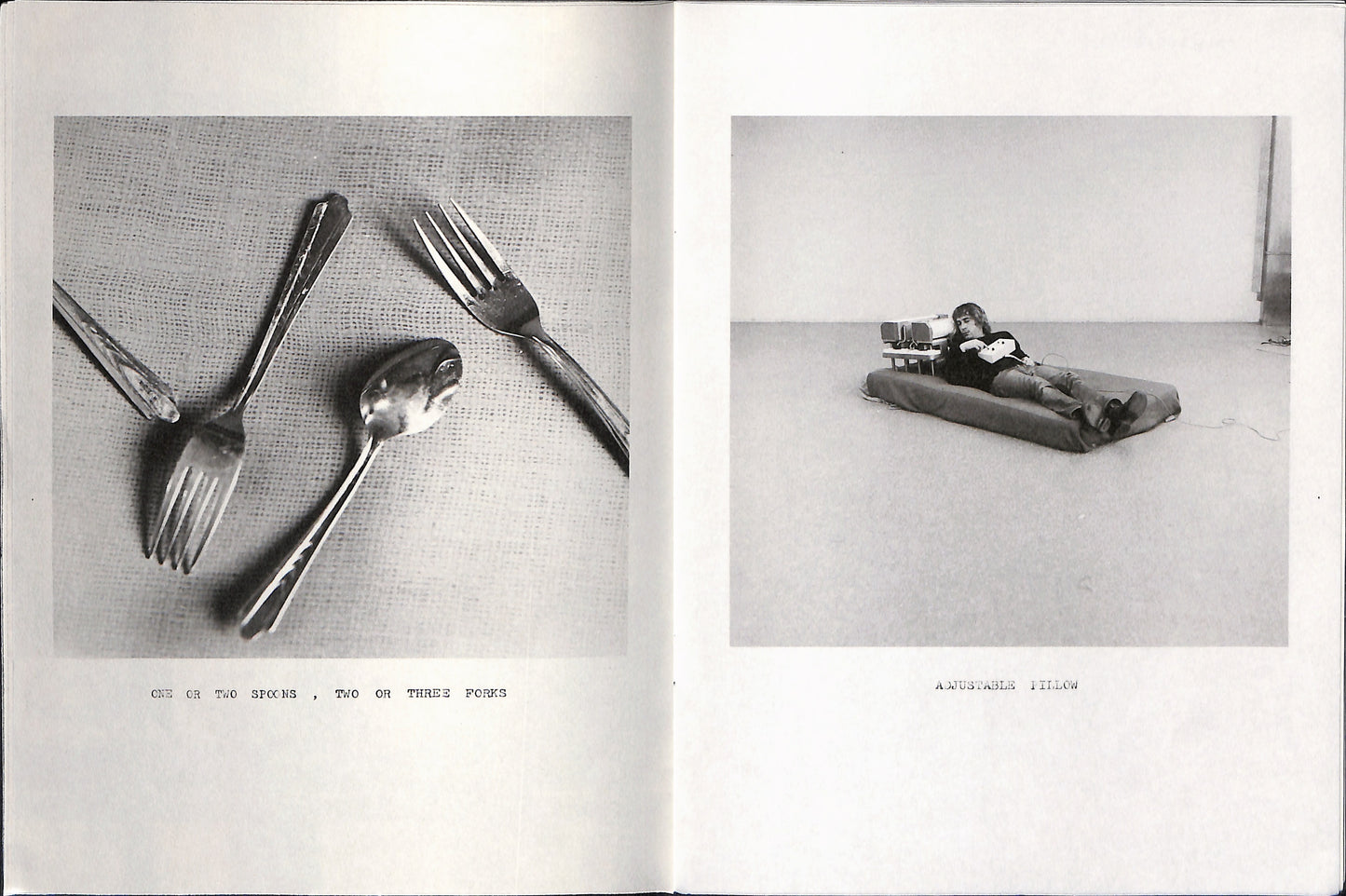 WILLIAM WEGMAN / He Took Two Pictures