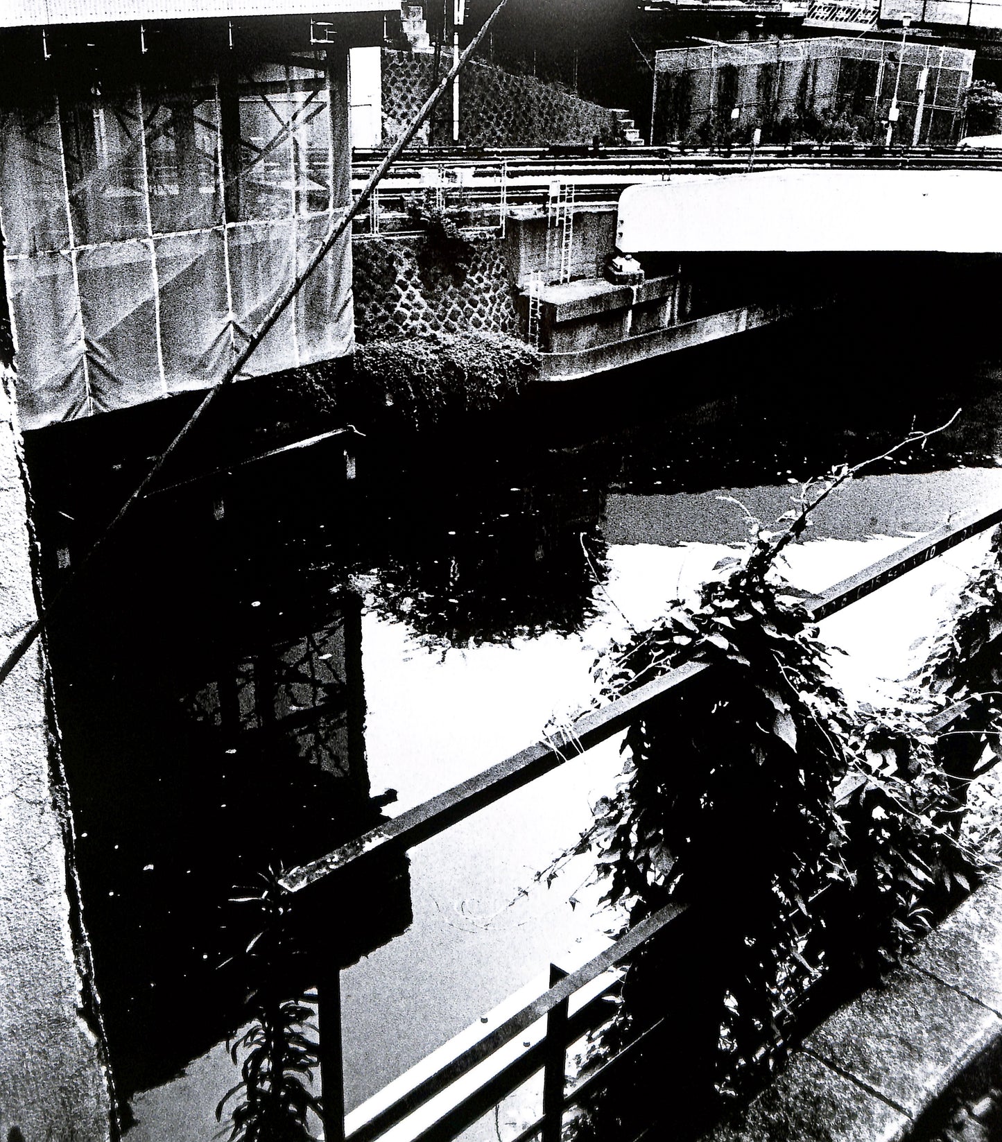 DAIDO MORIYAMA / Hysteric No. 4