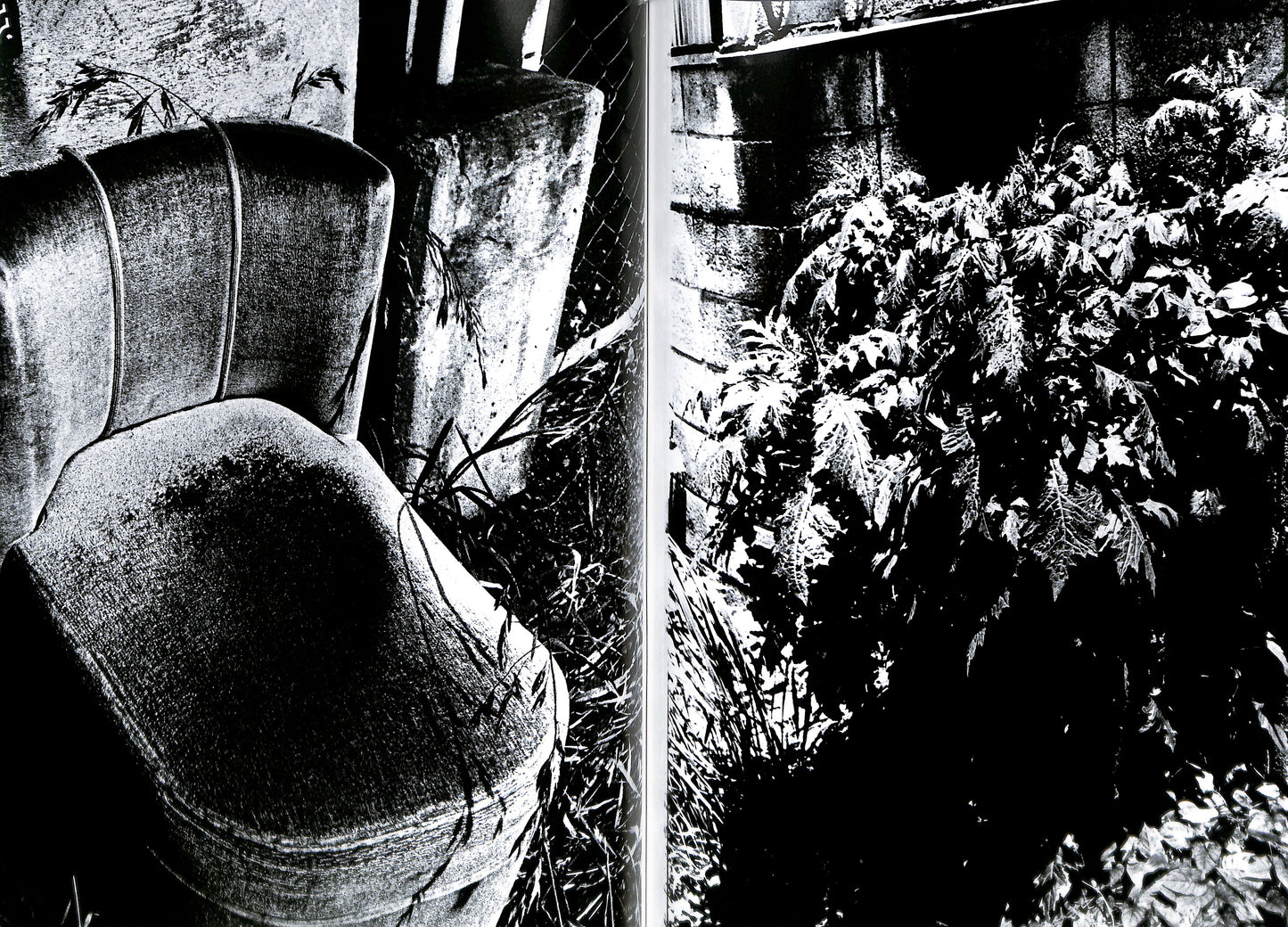 DAIDO MORIYAMA / Hysteric No. 4
