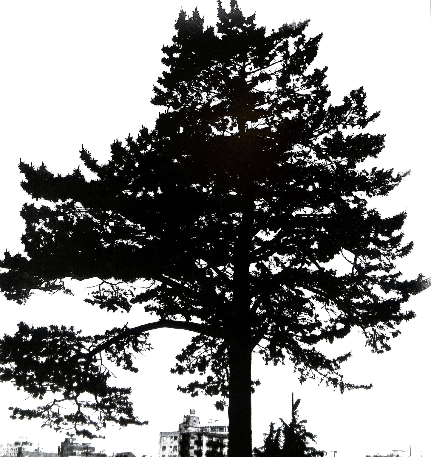 DAIDO MORIYAMA / Hysteric No. 4