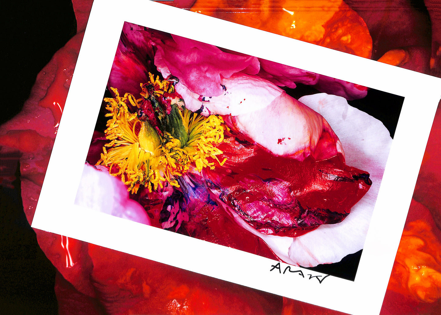 NOBUYOSHI ARAKI / Painting Flower