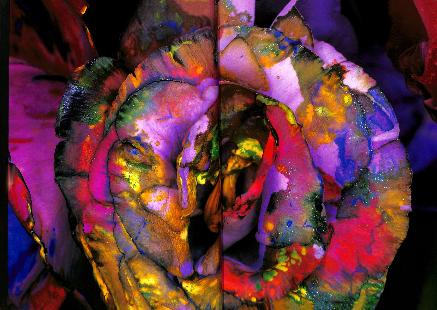 NOBUYOSHI ARAKI / Painting Flower