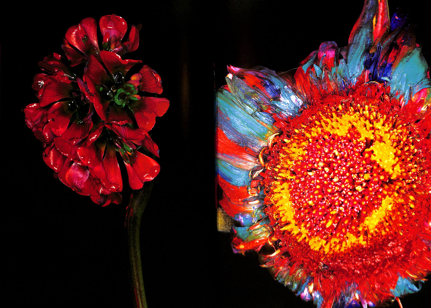 NOBUYOSHI ARAKI / Painting Flower