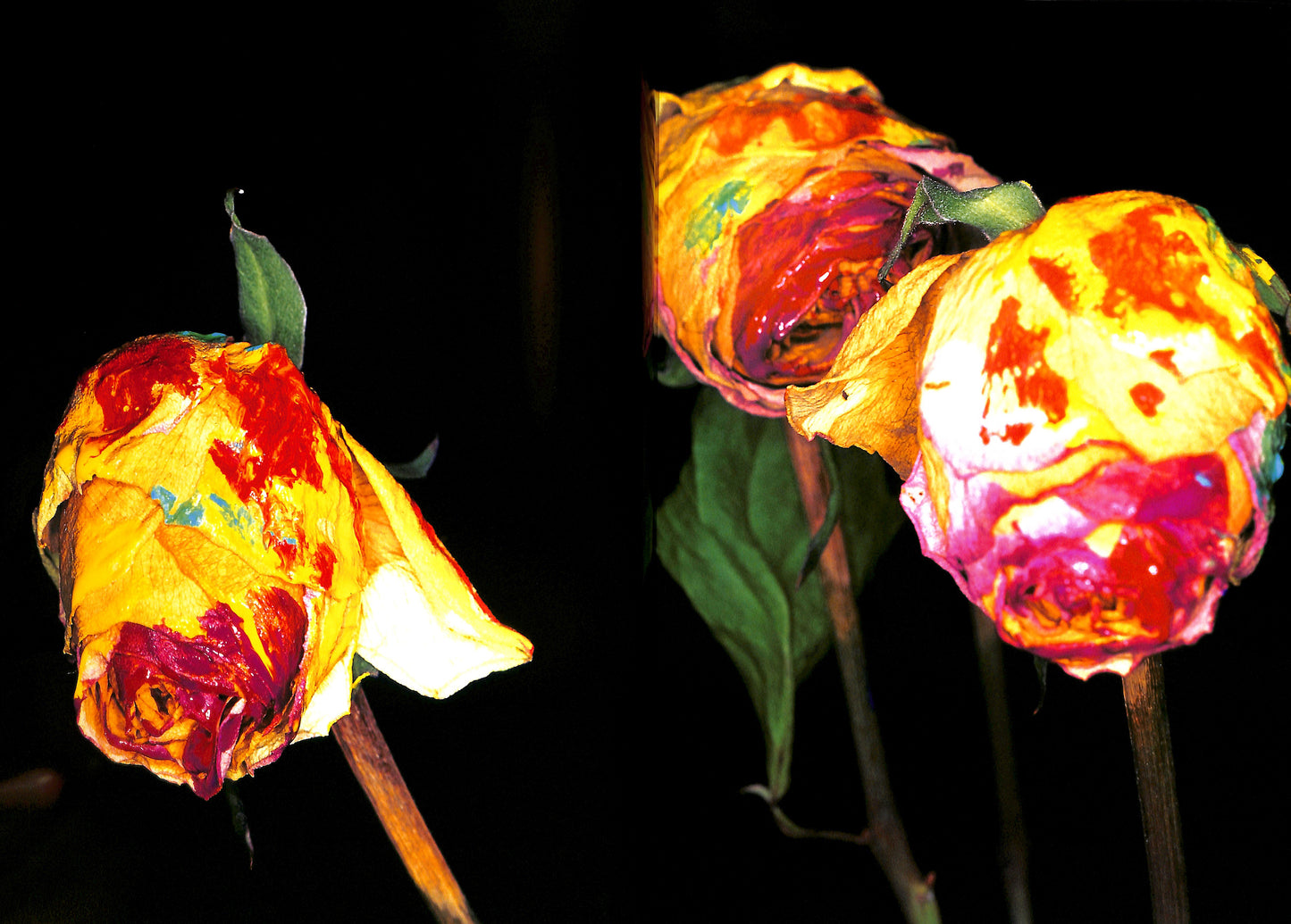 NOBUYOSHI ARAKI / Painting Flower