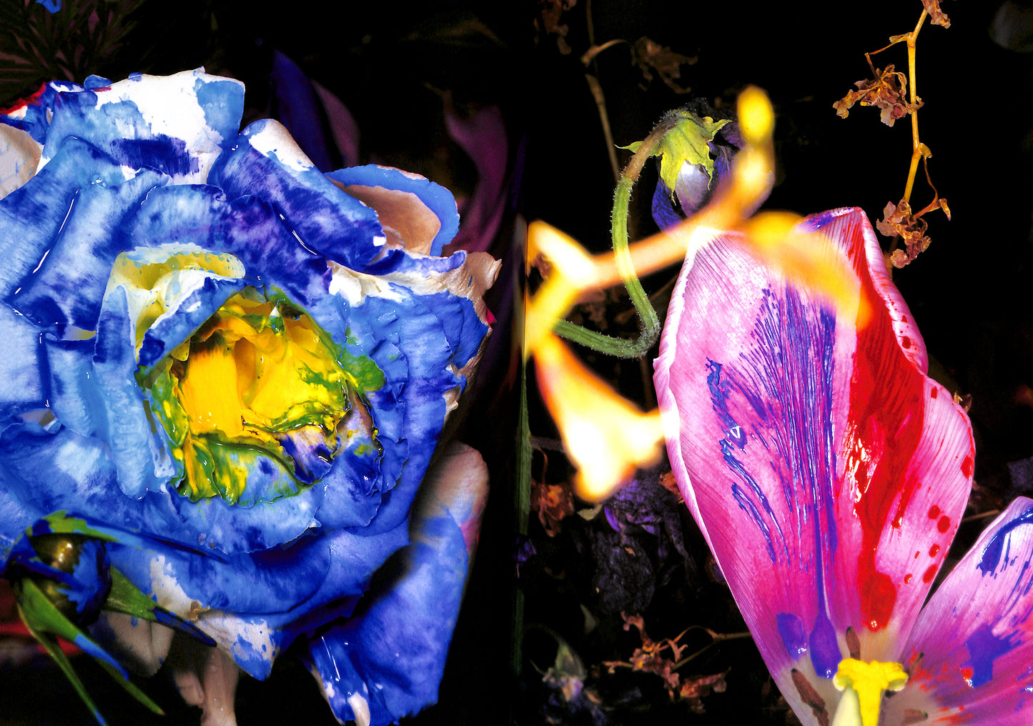 NOBUYOSHI ARAKI / Painting Flower