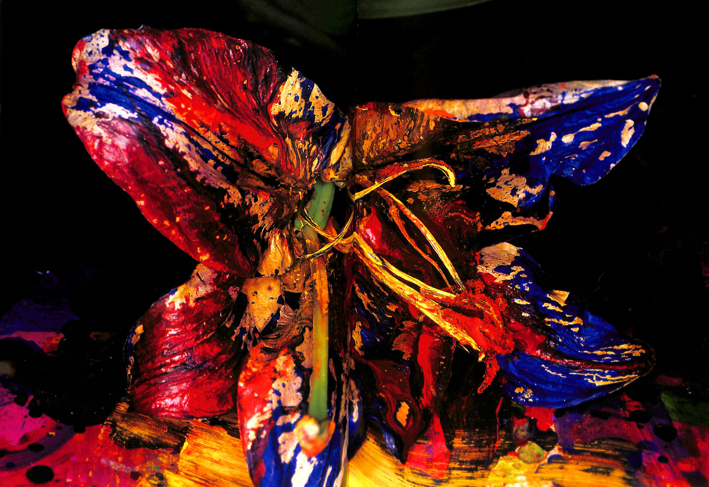NOBUYOSHI ARAKI / Painting Flower