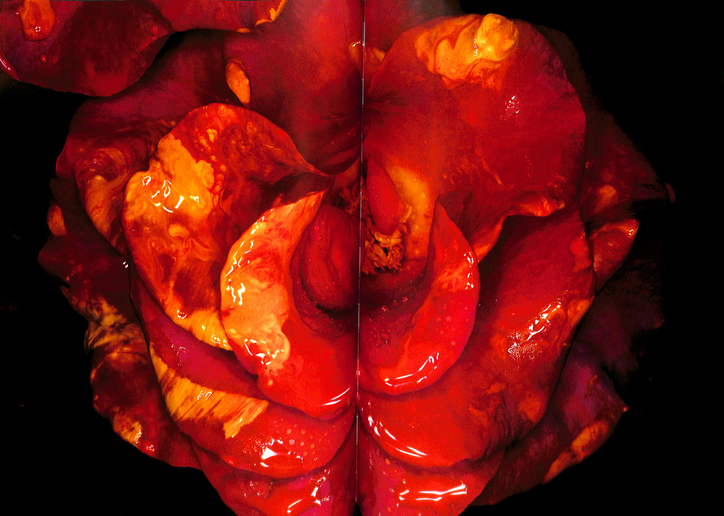 NOBUYOSHI ARAKI / Painting Flower