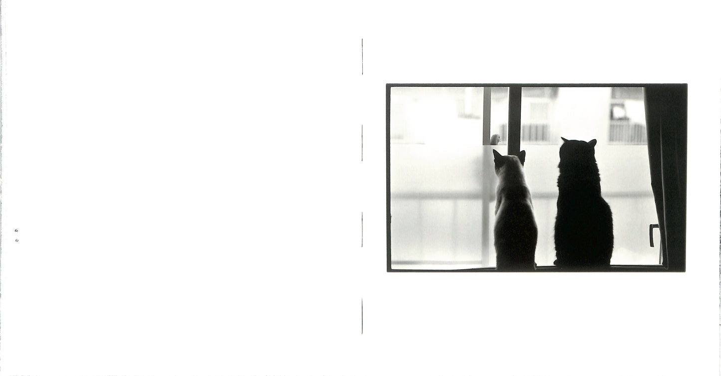 MASAHISA FUKASE / Wonderful Days