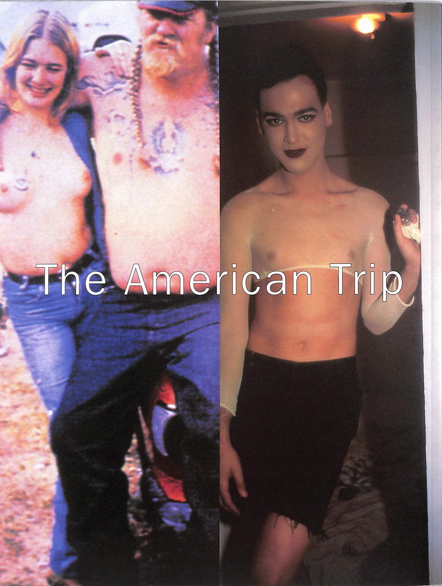 LARRY CLARK, NAN GOLDIN, CADY NOLAND, RICHARD PRINCE / The American Trip