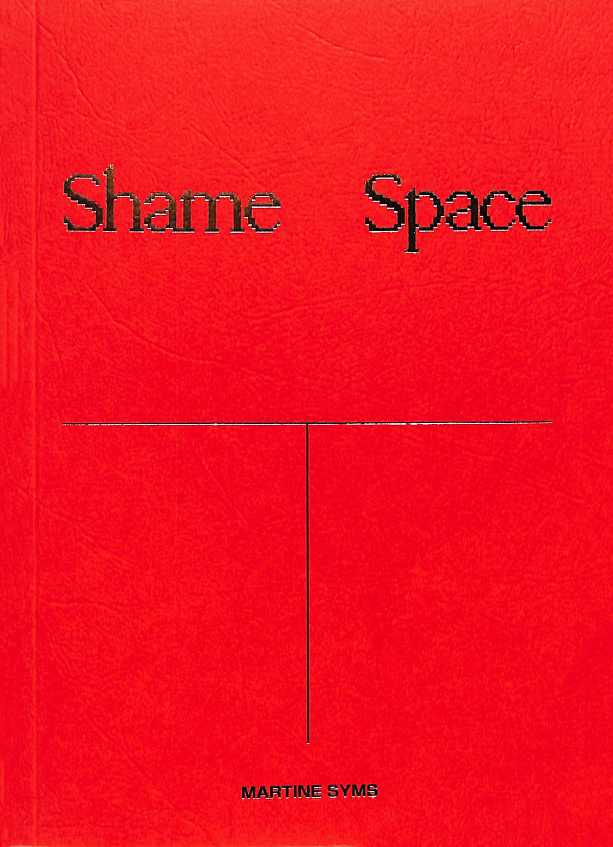 MARTINE SYMS / Shame Space
