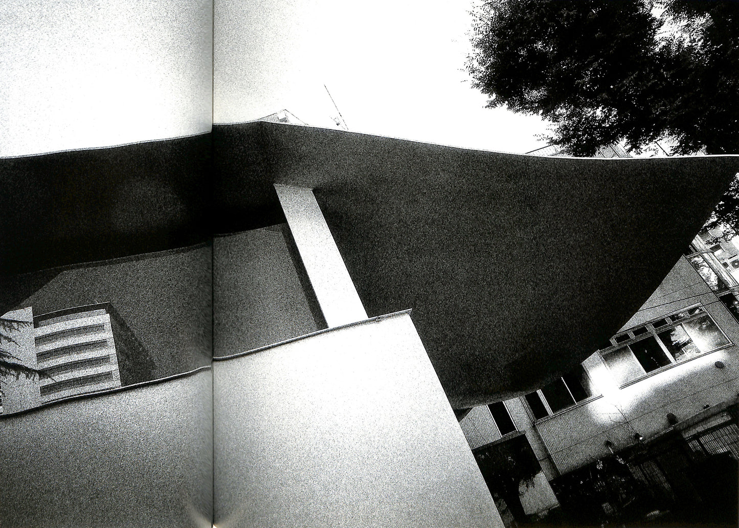 DAIDO MORIYAMA / The Tokyo Toilet