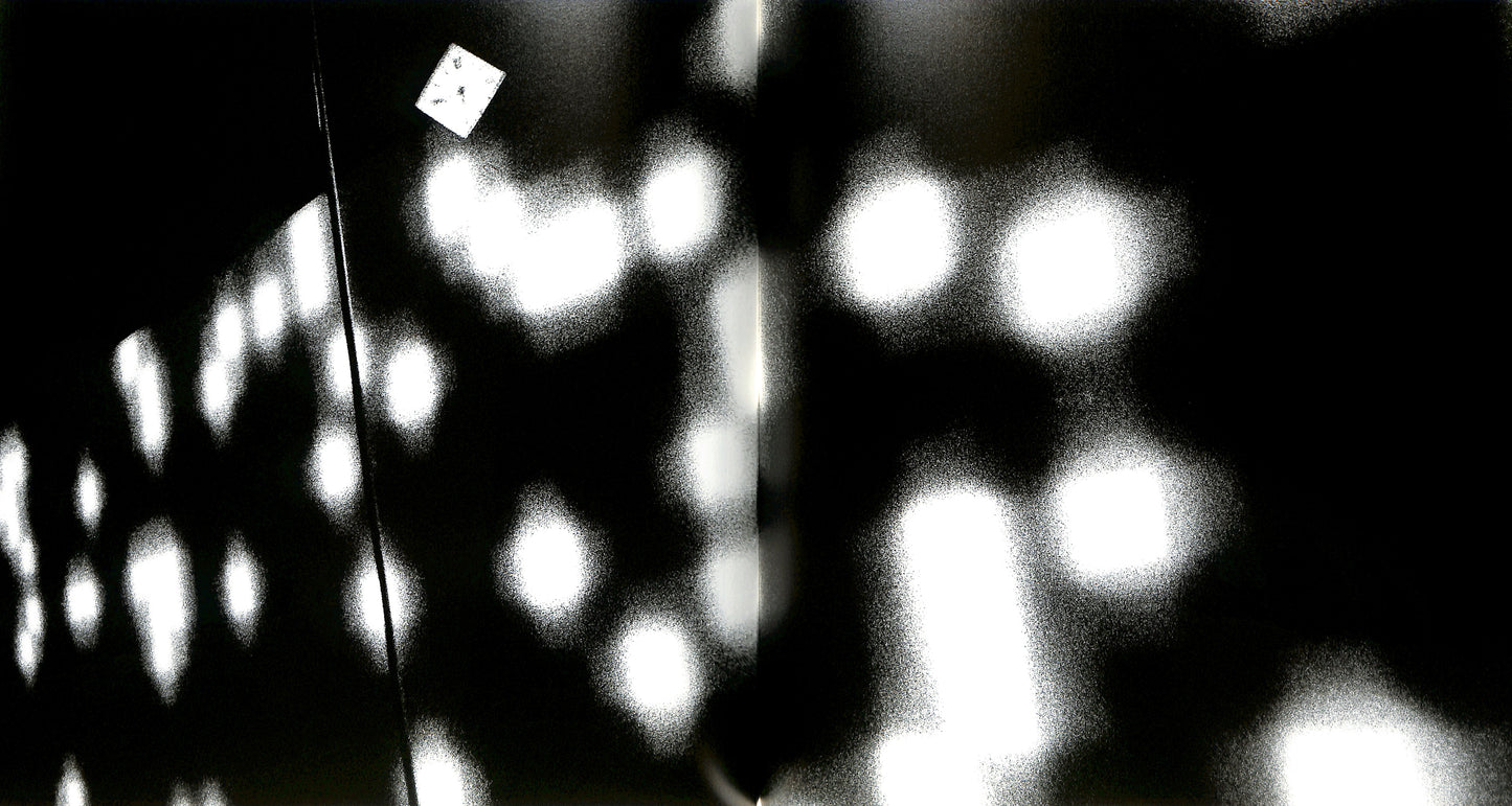 DAIDO MORIYAMA / The Tokyo Toilet