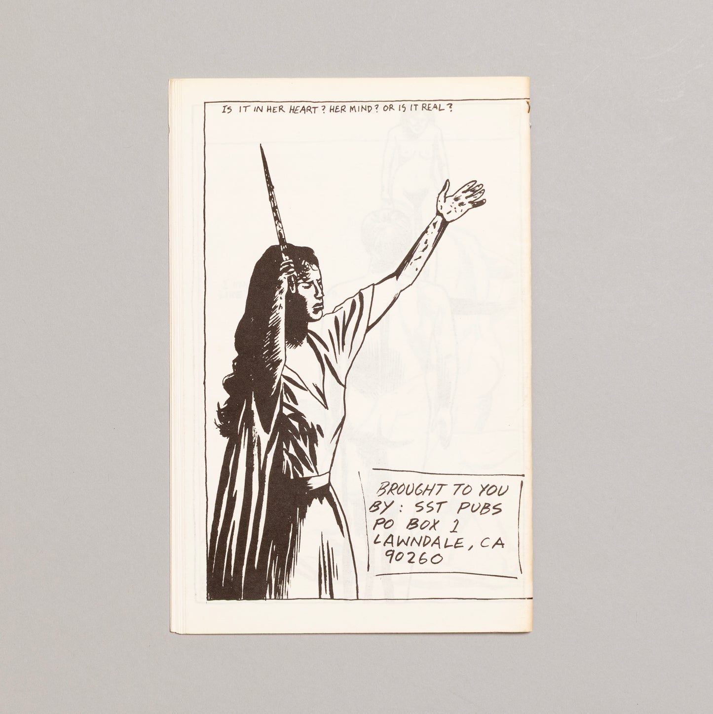 RAYMOND PETTIBON / Short Teats, Bloody Milk