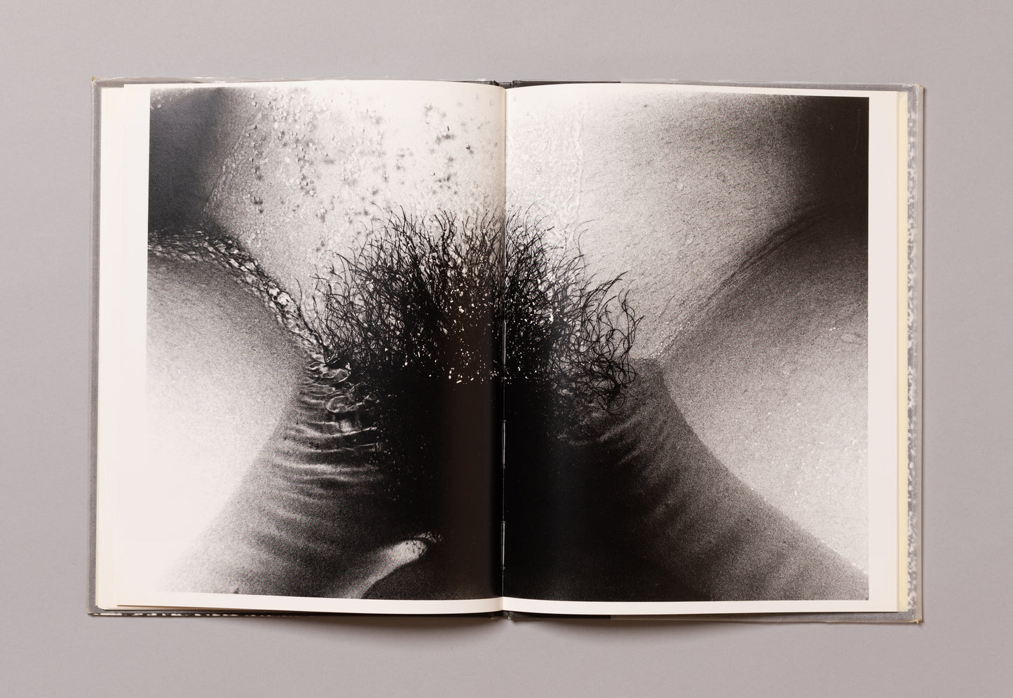 DAIDO MORIYAMA / Imitations