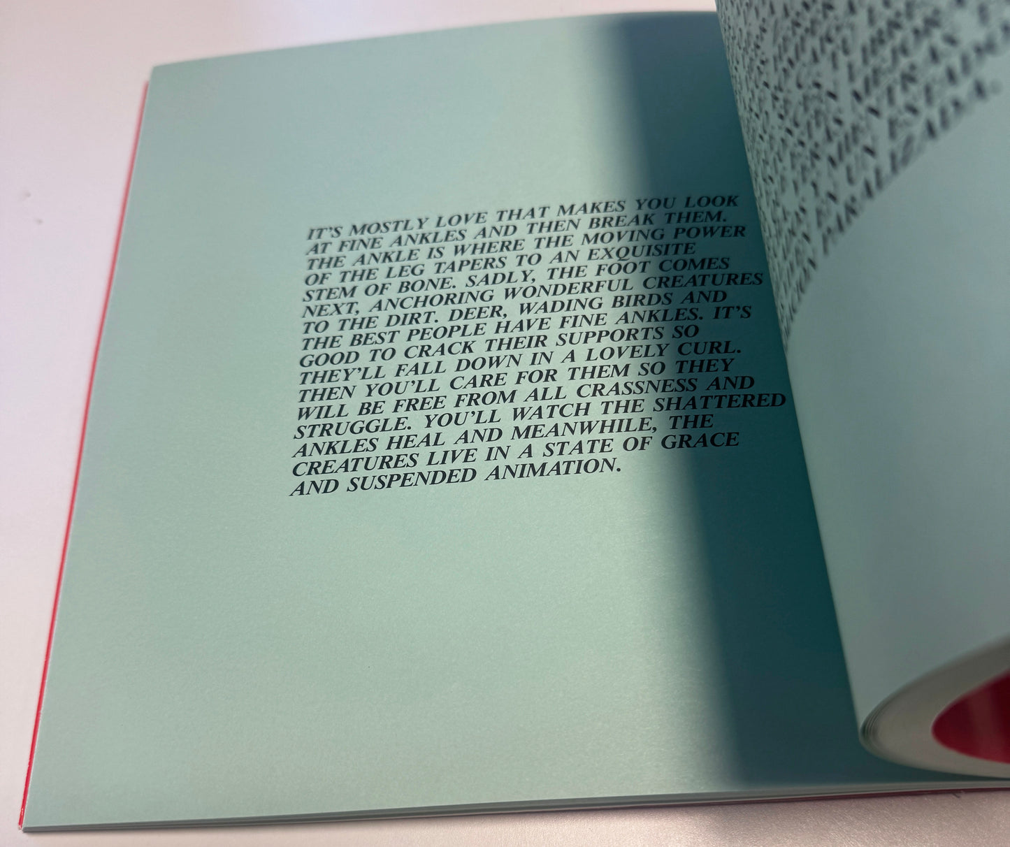 JENNY HOLZER / Truisms and Essays