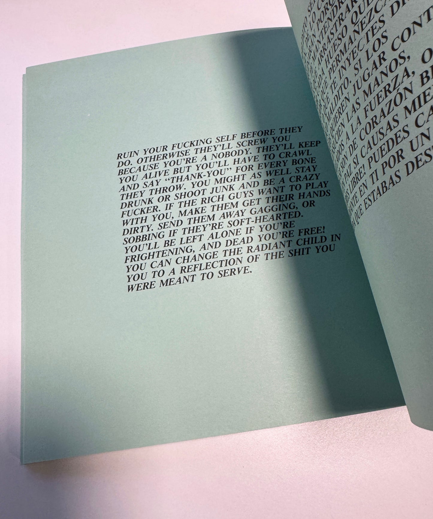 JENNY HOLZER / Truisms and Essays