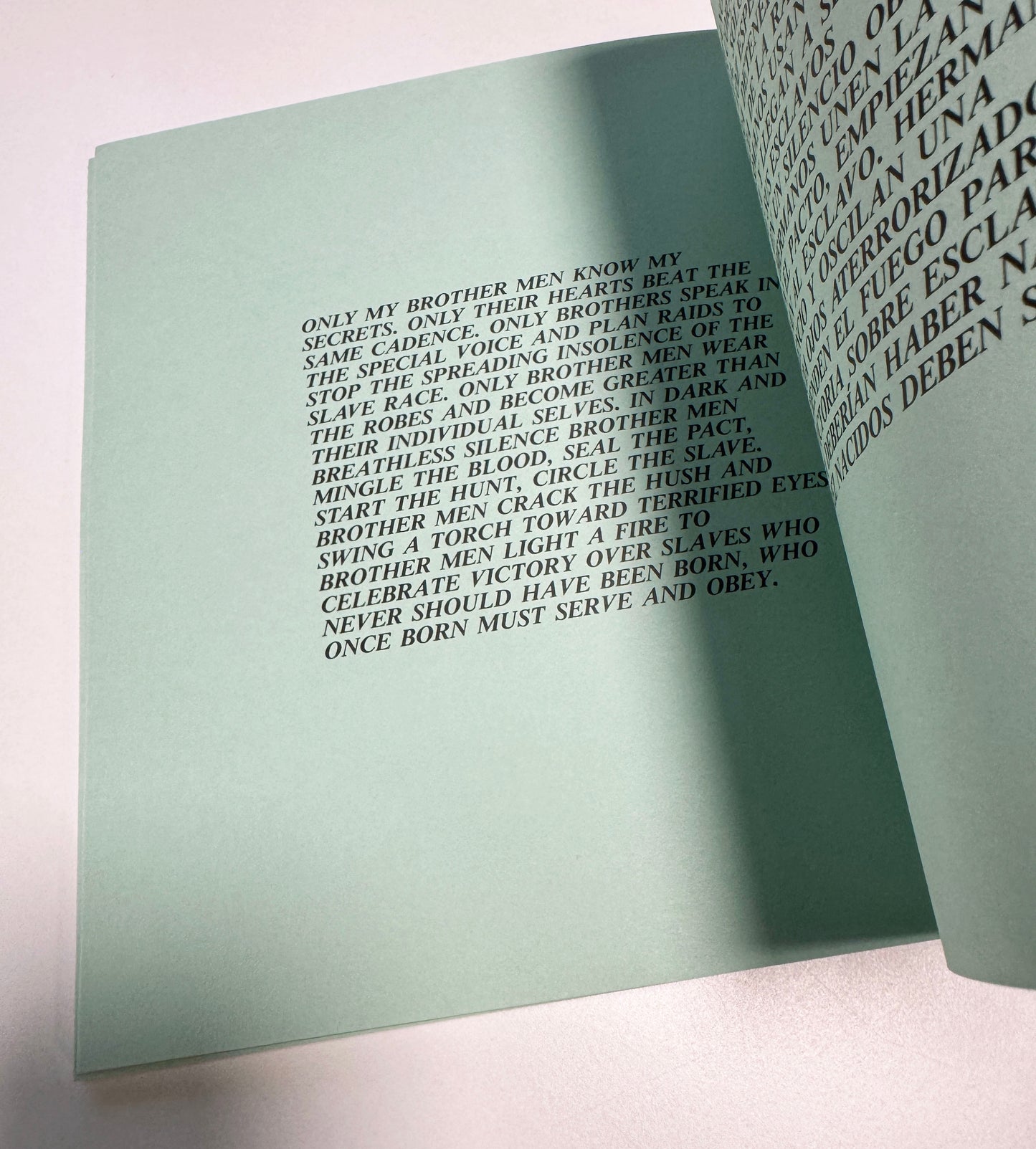 JENNY HOLZER / Truisms and Essays