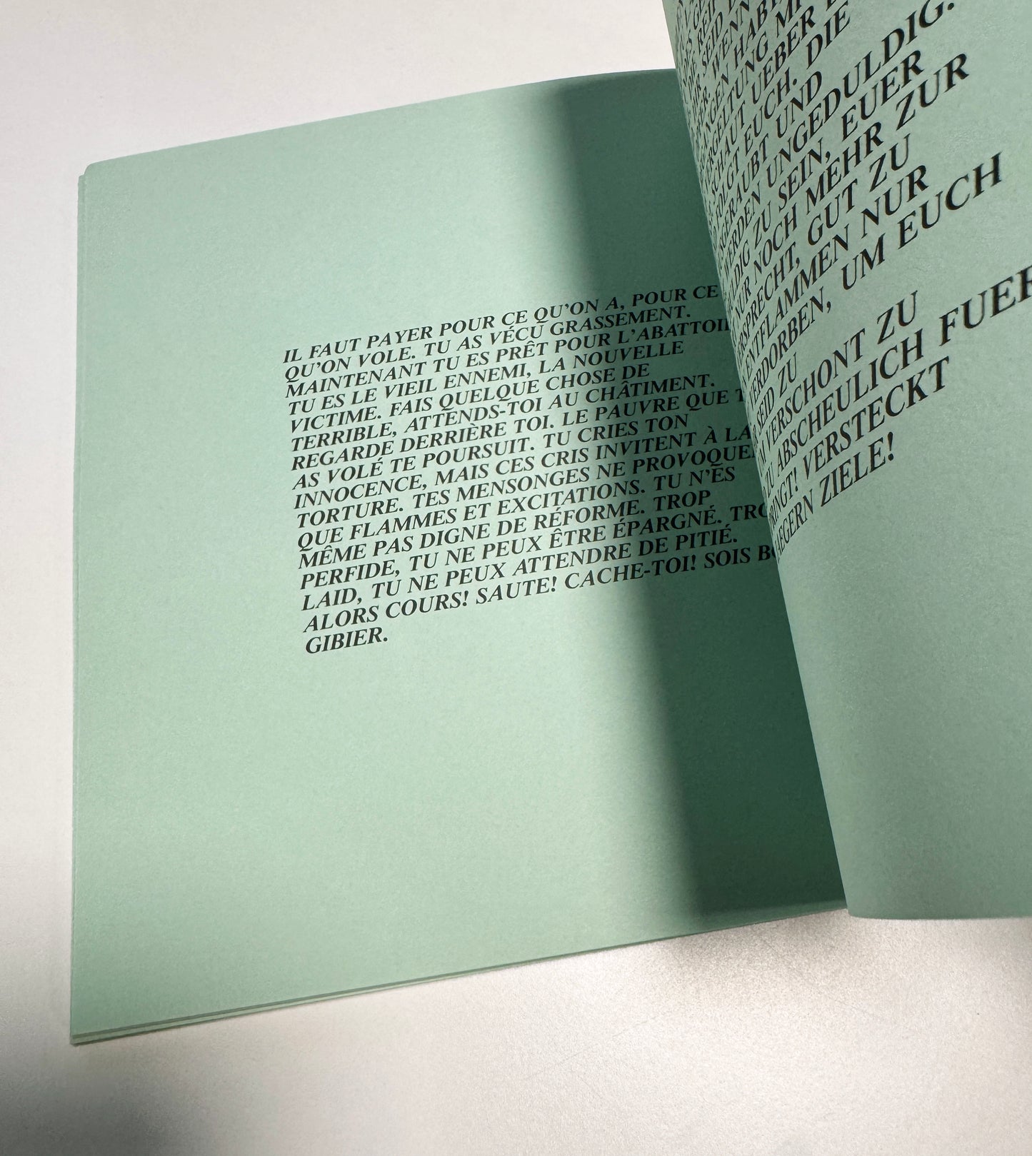 JENNY HOLZER / Truisms and Essays
