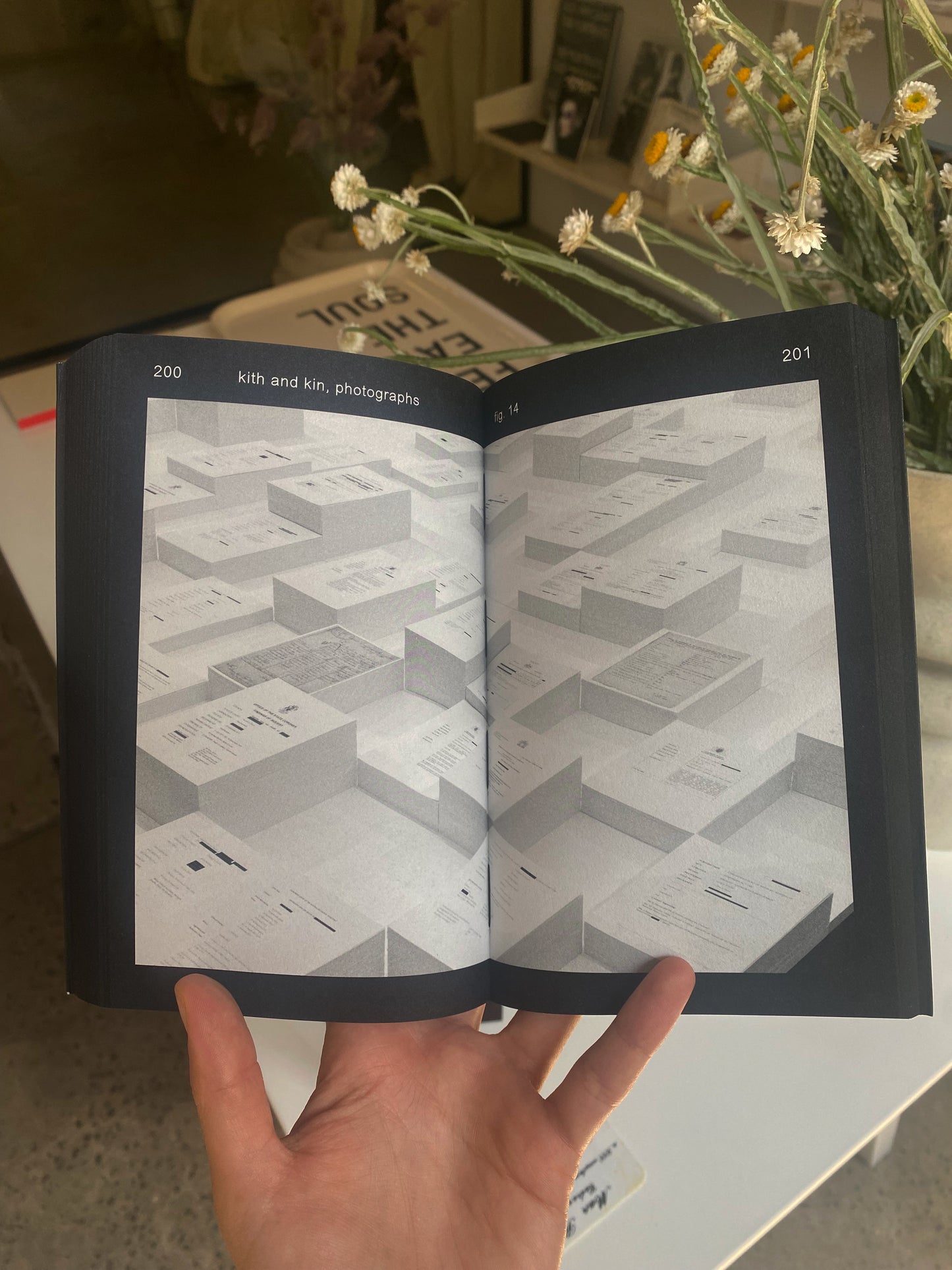 ARCHIE MOORE / kith and kin