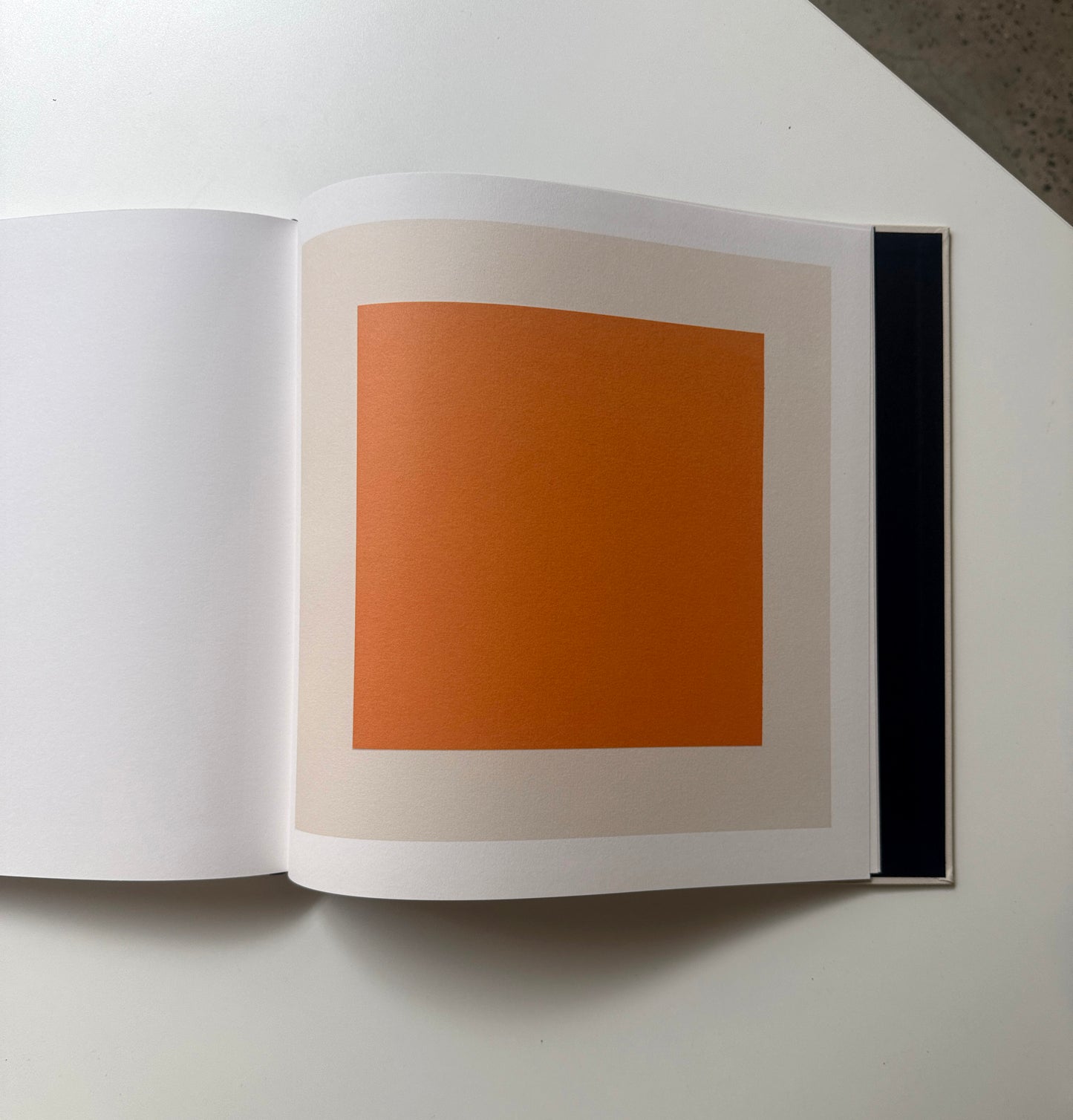 DARCY BELLA ARNOLD / A Measure of Disorder