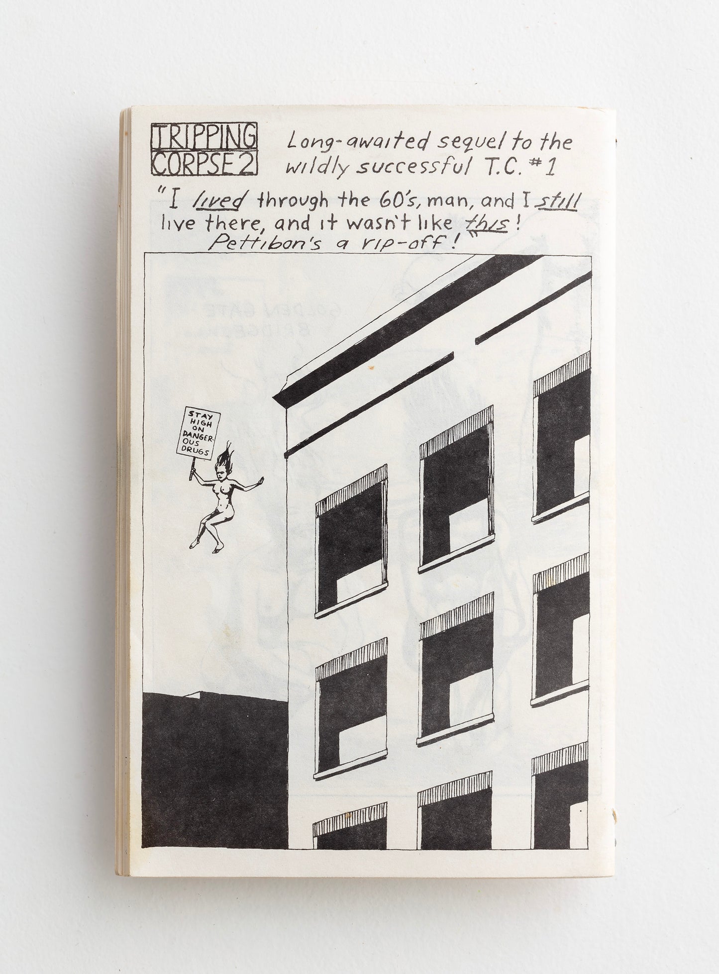 RAYMOND PETTIBON / Tripping Corpse 2