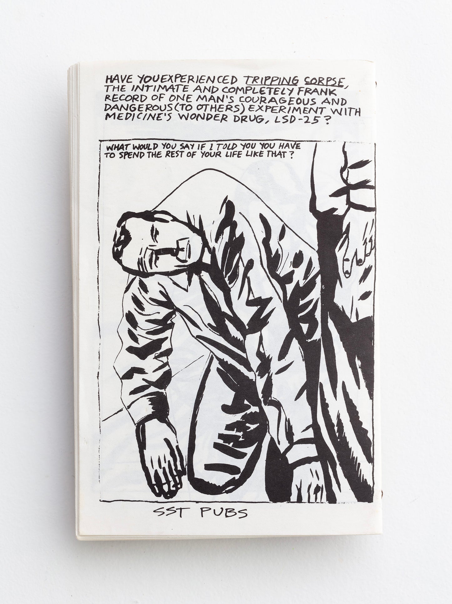 RAYMOND PETTIBON / The Observable World