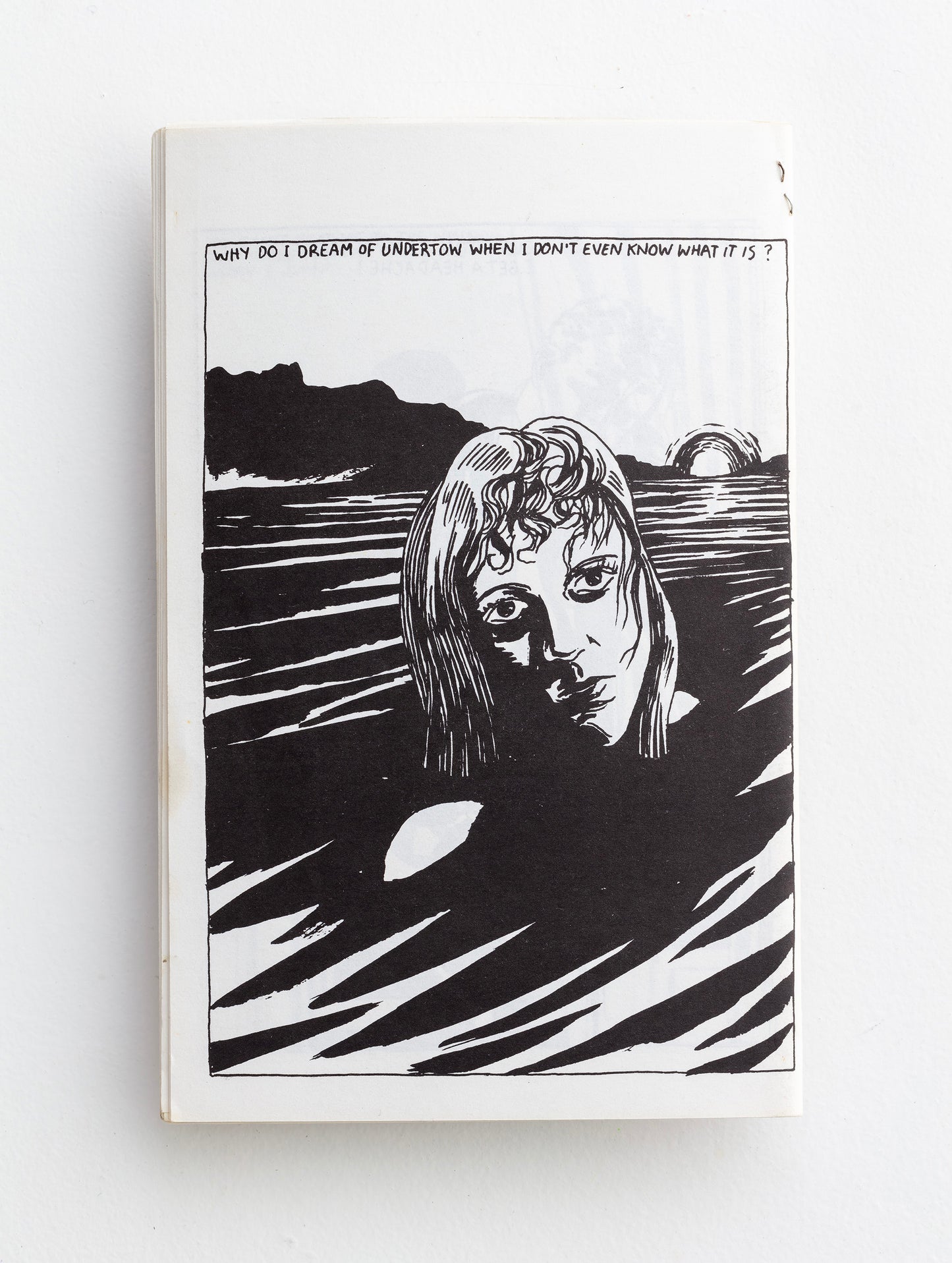 RAYMOND PETTIBON / Like Death Valley