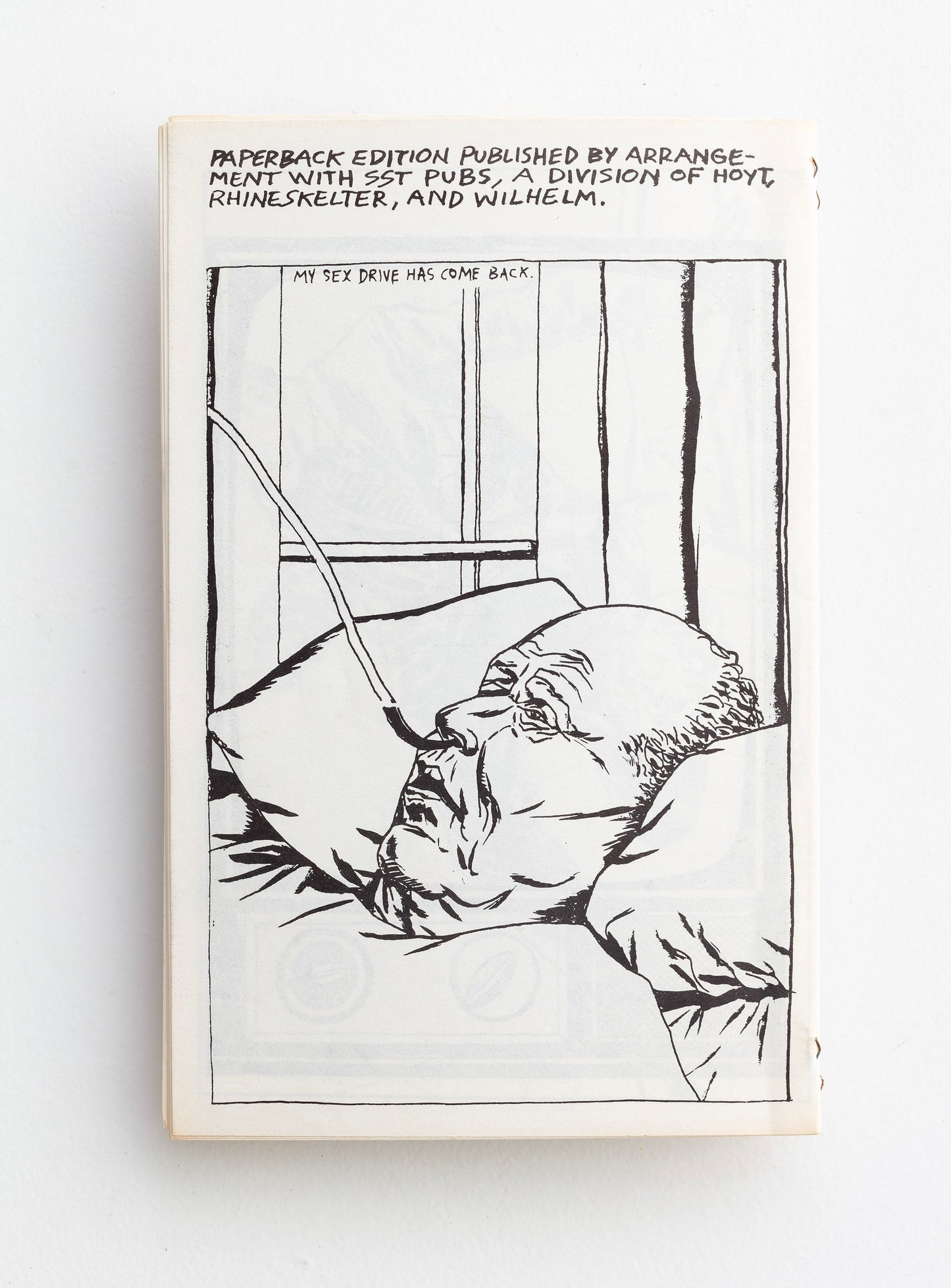 RAYMOND PETTIBON / Wein, Weib, und Gesang