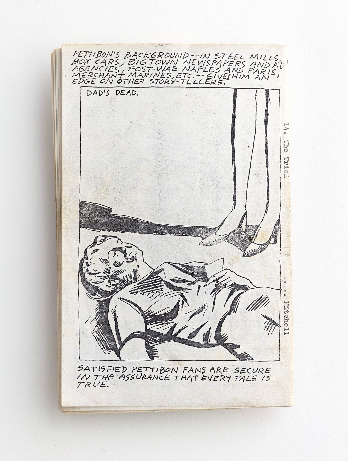 RAYMOND PETTIBON / New Girl