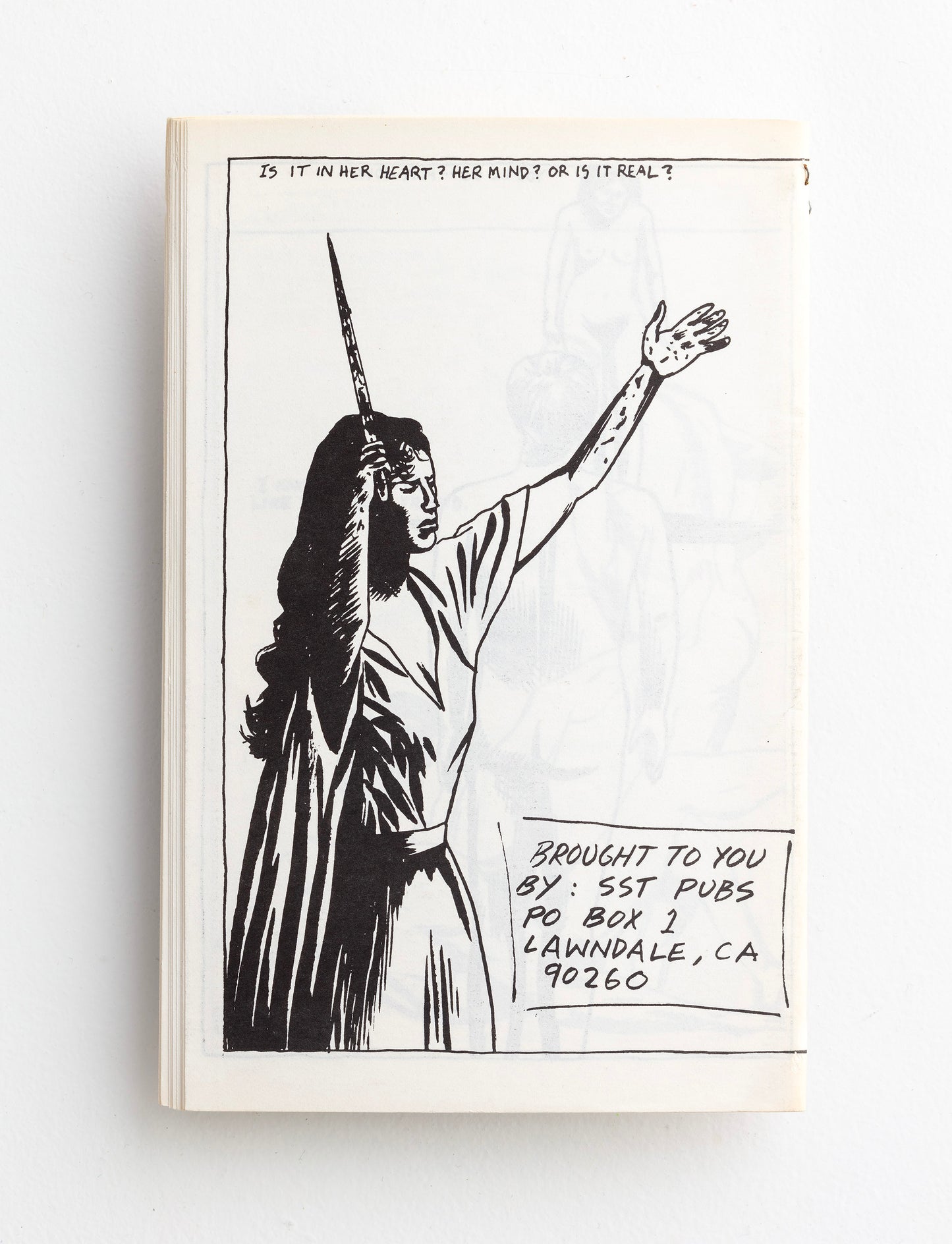 RAYMOND PETTIBON / Short Teats, Bloody Milk