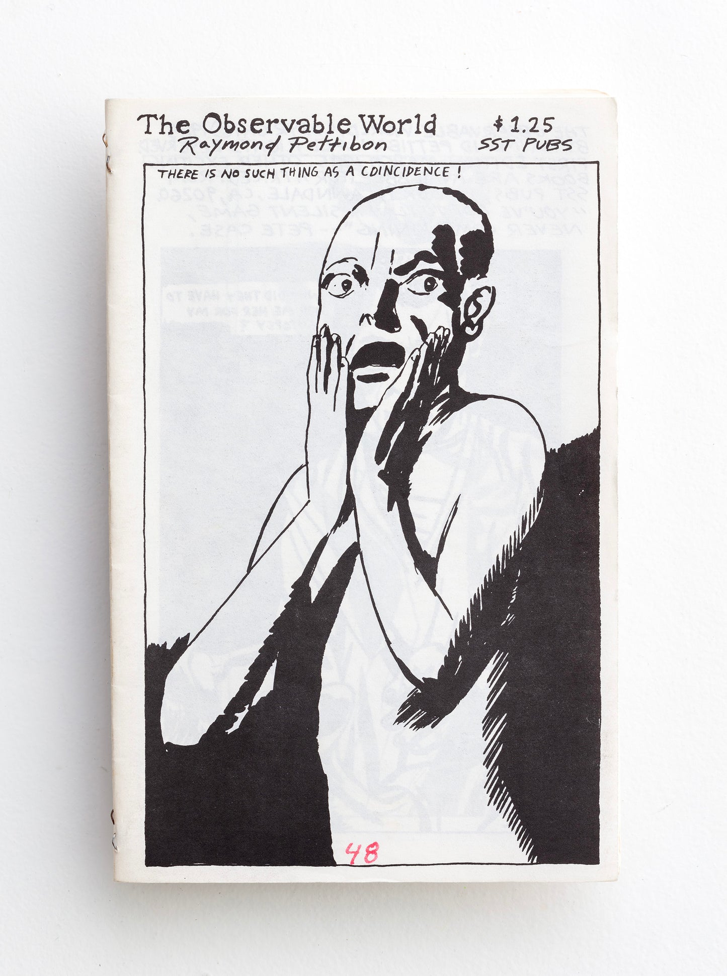 RAYMOND PETTIBON / The Observable World