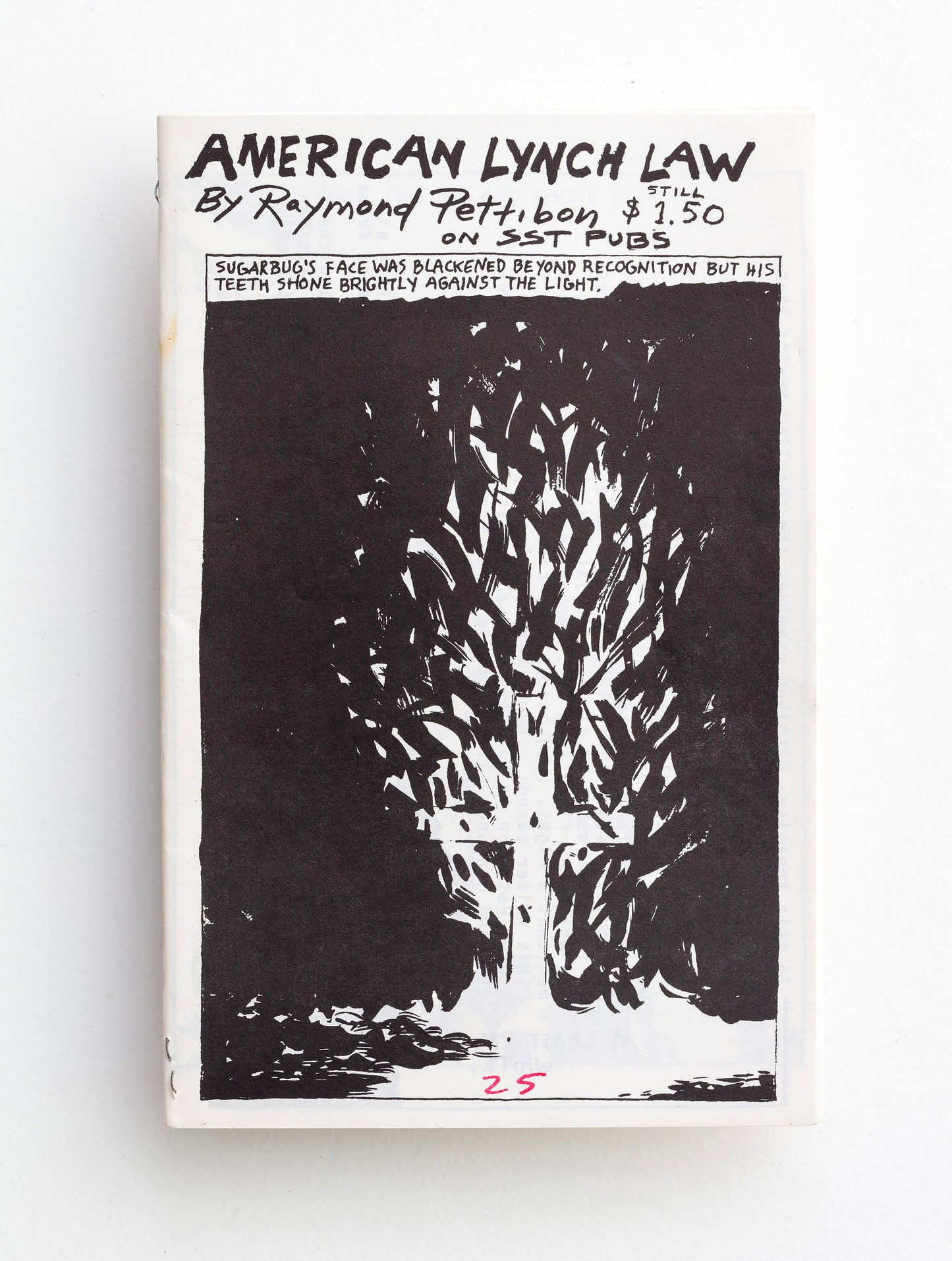 RAYMOND PETTIBON / American Lynch Law