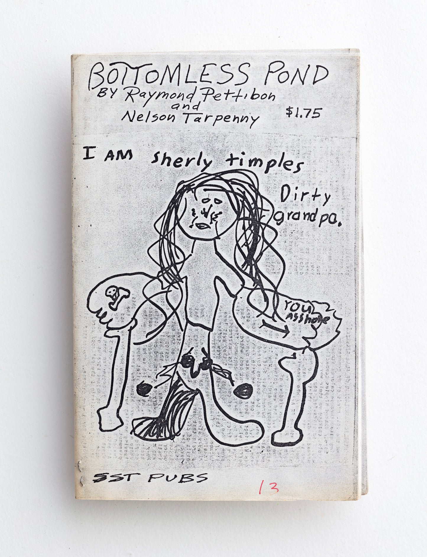 RAYMOND PETTIBON / Bottomless Pond