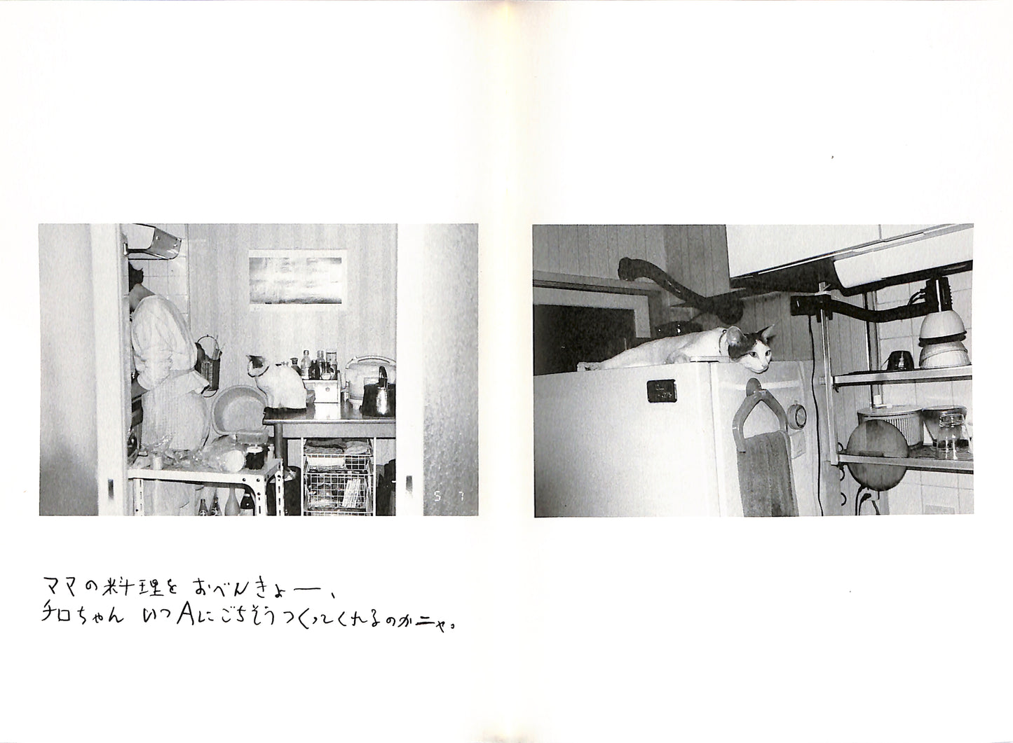 NOBUYOSHI ARAKI / Chiro, My Love