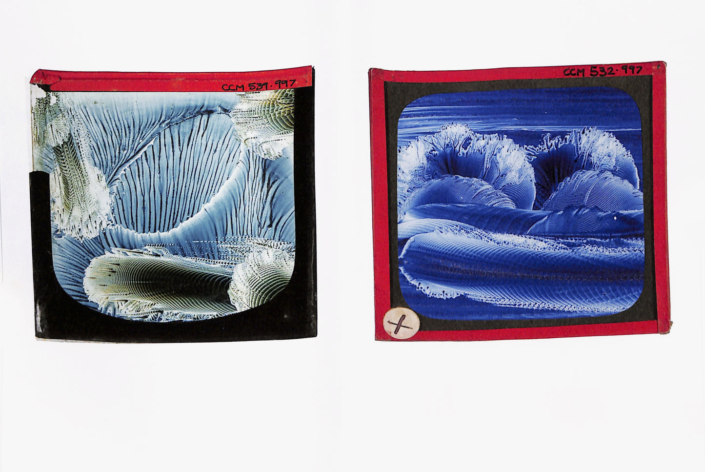 MARGARET WATTS HUGHES / Sound May Be Seen