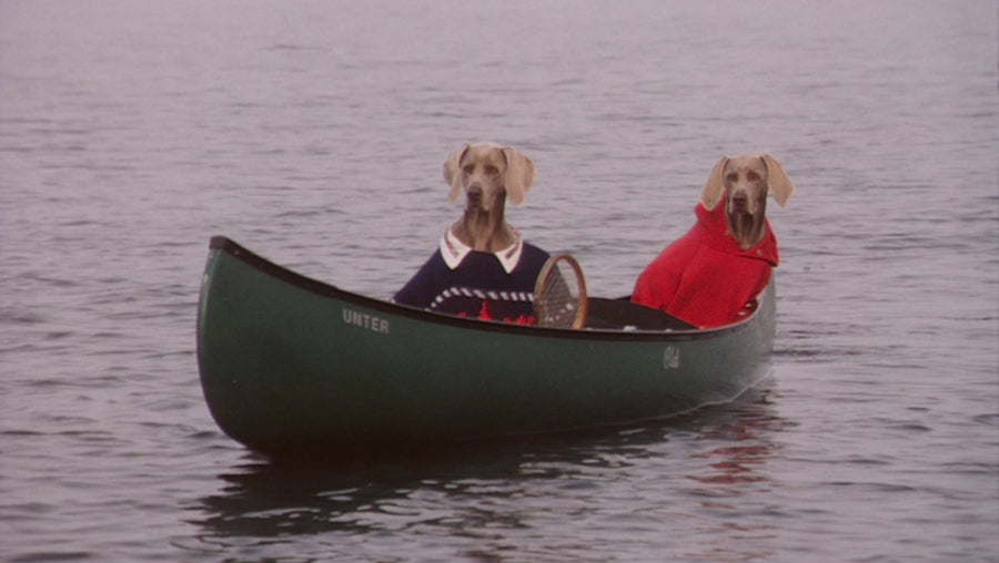 WILLIAM WEGMAN / The Hardly Boys