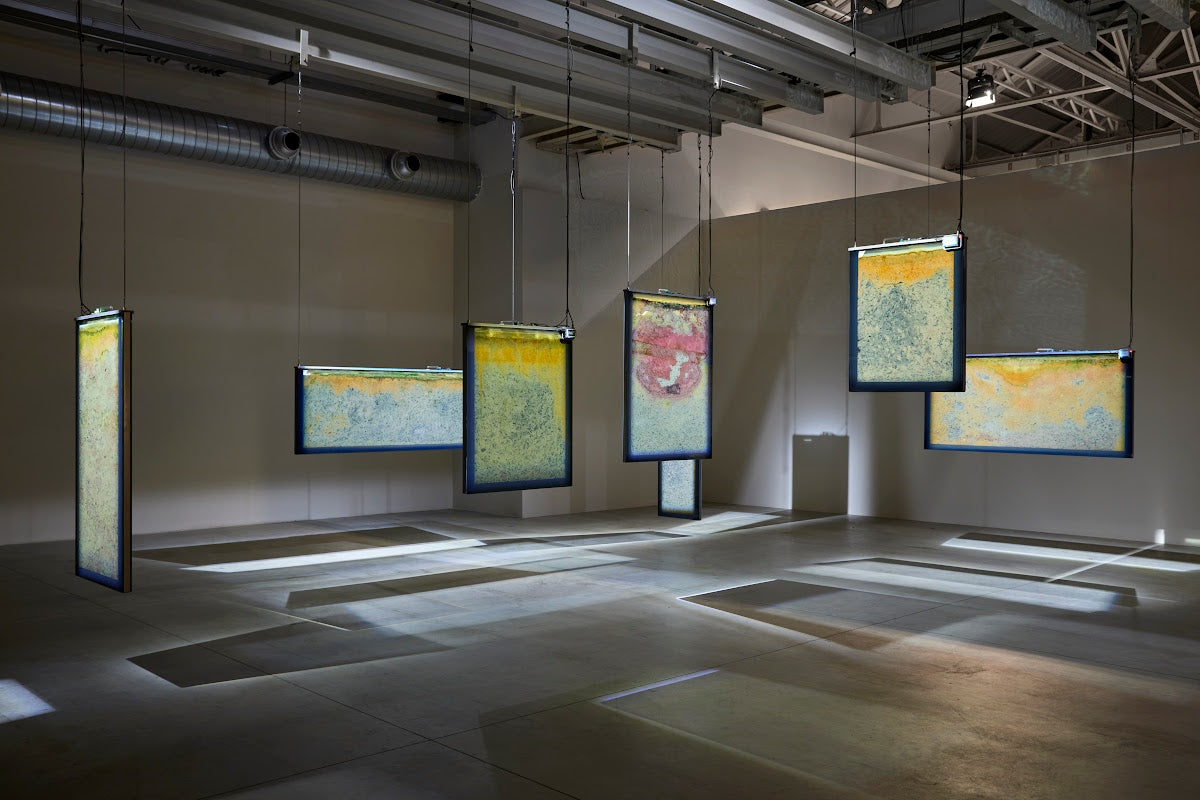 ANICKA YI / Metaspore